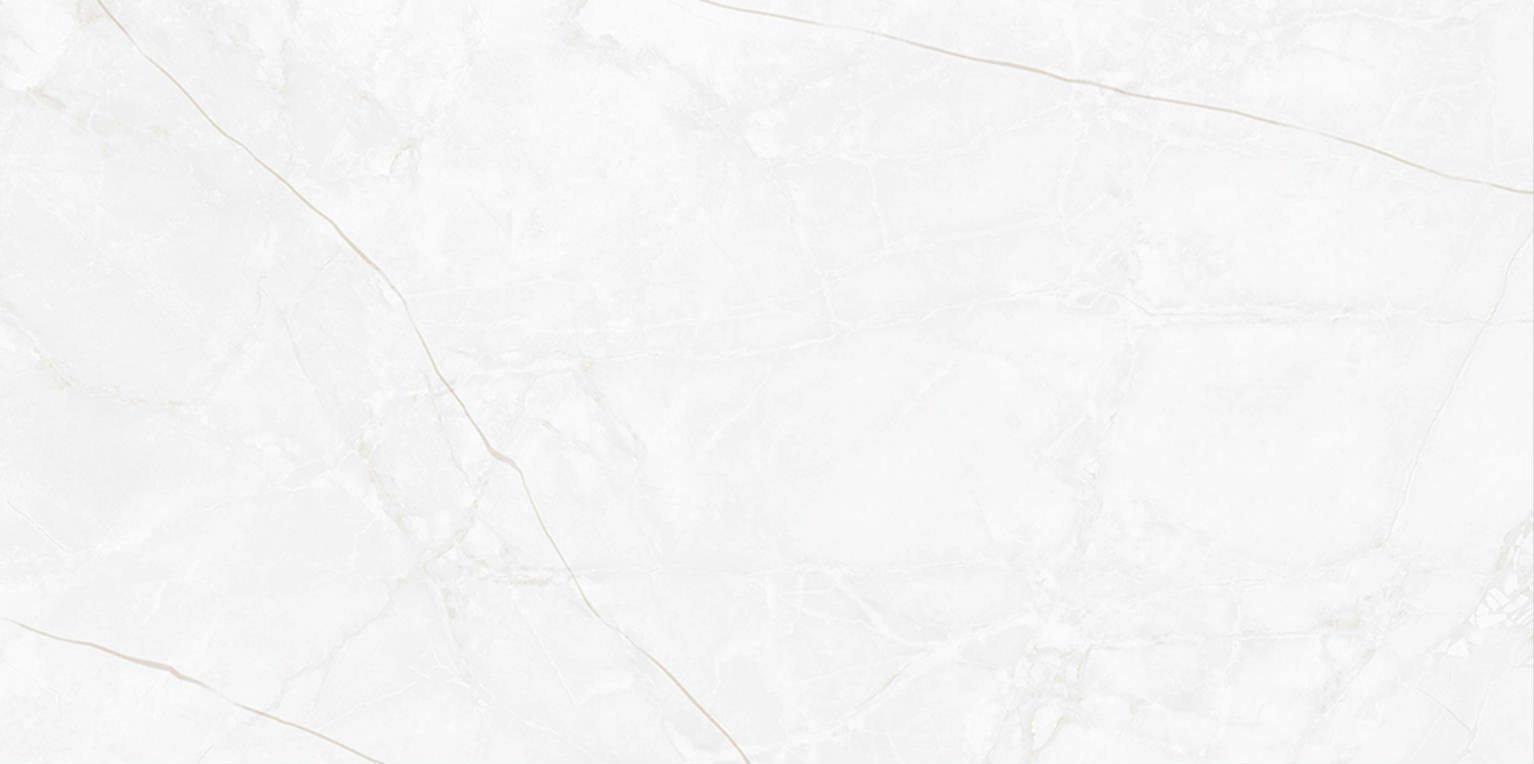 IDYLIUM TABLA EMPIREO WHITE HONED 12 mm | Galería Viterra